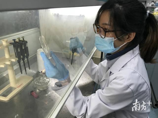 南方日报采访并报道我司抗疫研发工作