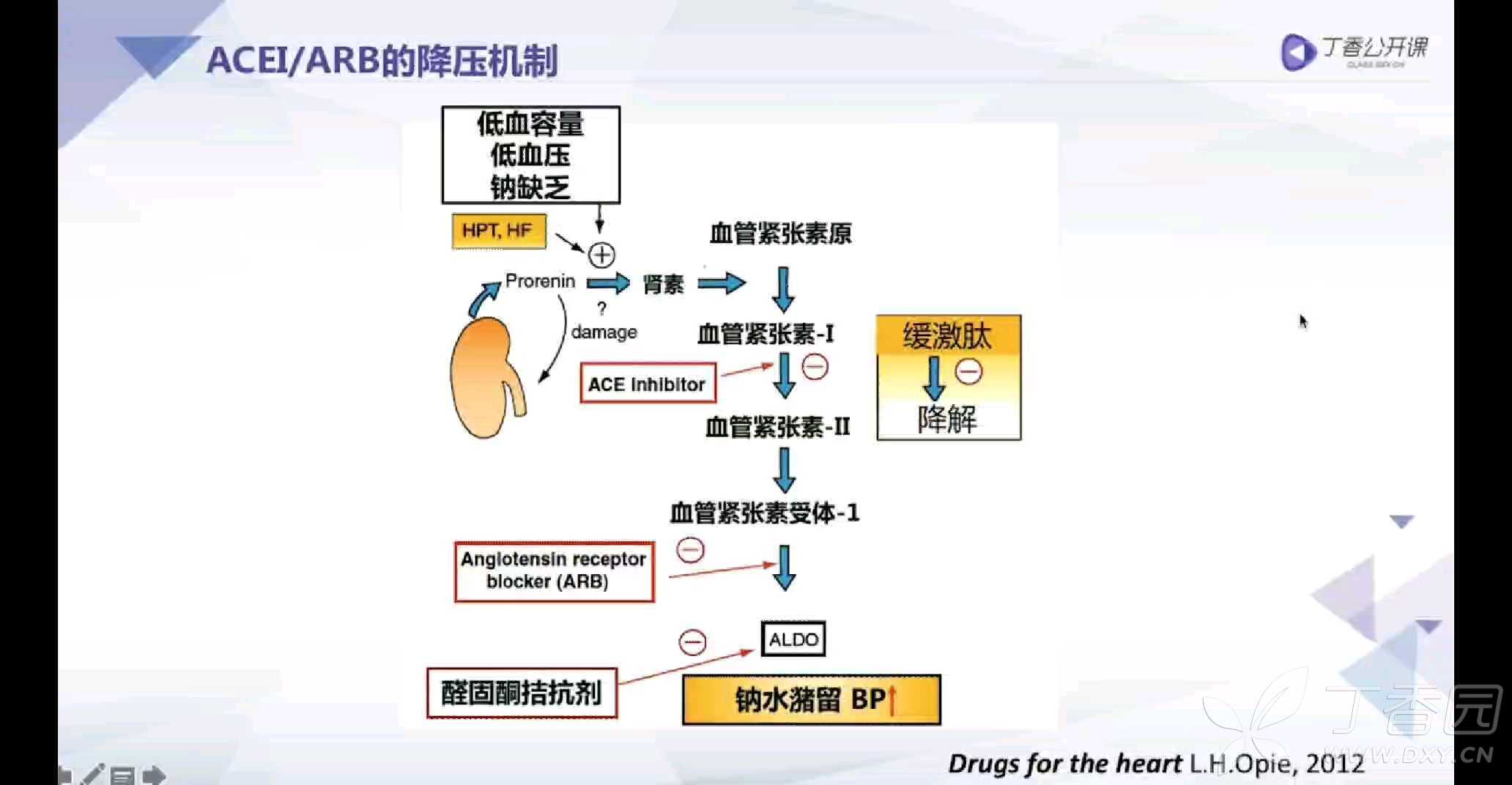 降压药用什么原理降压的_星三角降压启动原理