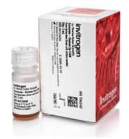  Exosome-Human EpCAM Flow Detection Reagent (from cell culture)