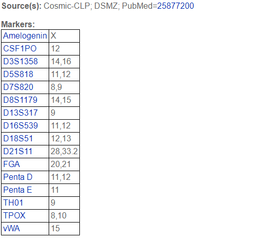 JJN-3人白血病细胞