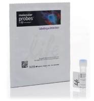 BODIPY™ TR Ceramide