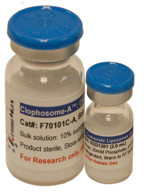 阴离子巨噬细胞清除剂 Clophosome®-A - Clodronate Liposomes (Anionic)