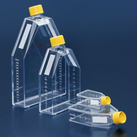 TPP细胞培养瓶，生长表面积25 - 300 cm2 