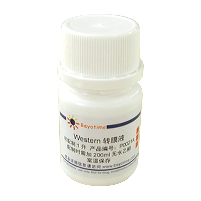 Western转膜液