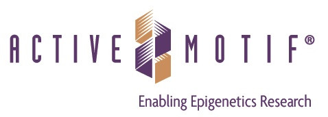 Histone H4H18ph antibody (pAb)