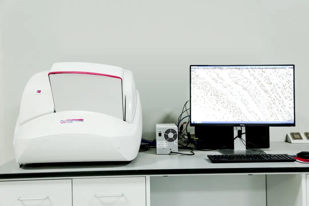 索莱宝全信息数字化切片扫描服务,为您的实验保驾护航!