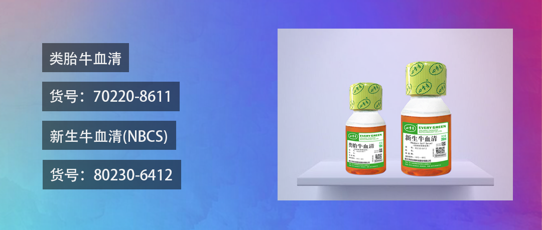 便宜，好用！四季青新品上市啦，实惠多多，优惠多多！