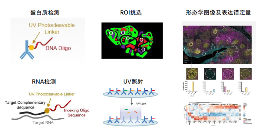 電流表的用途現金66E58-6658