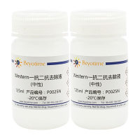 Western一抗二抗去除液(中性)