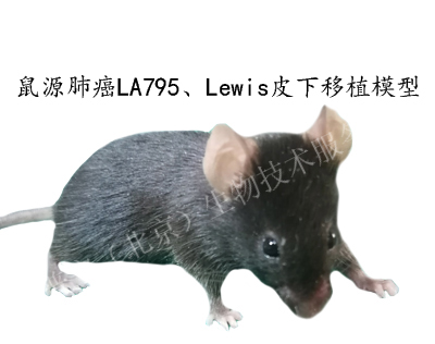 鼠源肺癌LA795、Lewis（LLC）皮下移植模型