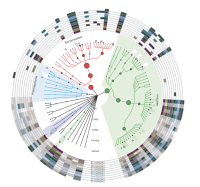 宏基因组微生物分类测序