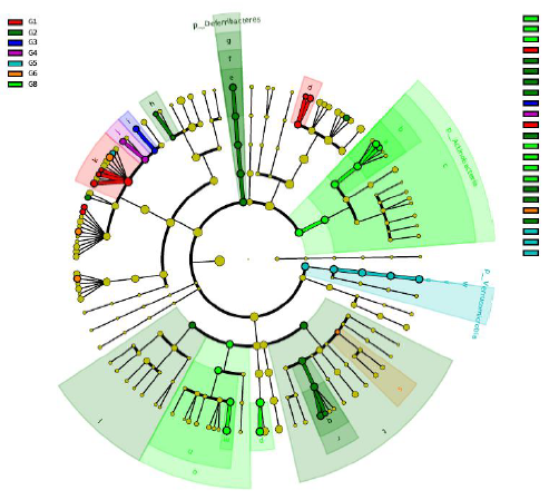产品细节图片11