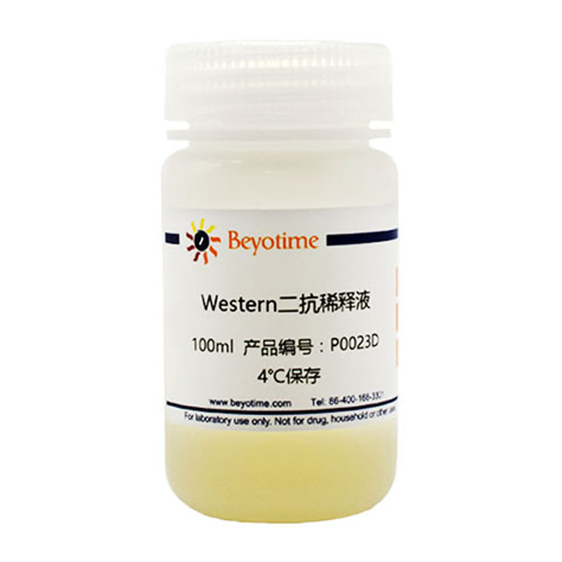 Western二抗稀释液