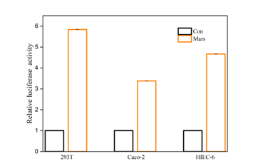 双荧光素酶报告基因检测数据集