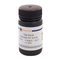 TMB显色液(组化或膜HRP显色用)