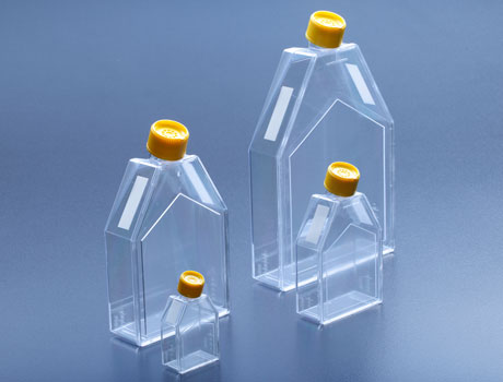 细胞培养瓶 生长表面积25 - 300 cm2 