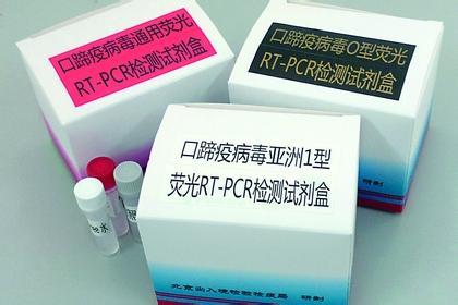 蜡样芽胞杆菌核酸检测试剂盒（PCR-荧光探针法）说明书