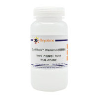 Acetyl-Histone H3 (Lys27) Rabbit Polyclonal Antibody