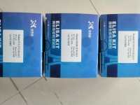 新冠病毒测试盒