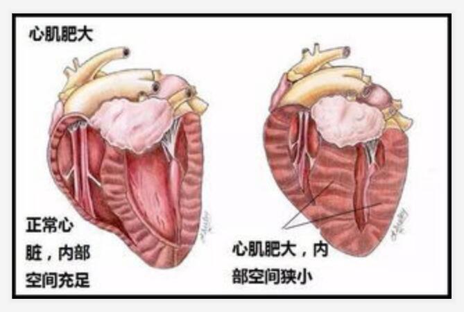 产品细节图片4