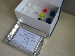 派琴虫核酸检测试剂盒（PCR-荧光探针法）规格