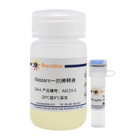 Phospho-ACC(Ser79)抗体(兔多抗)