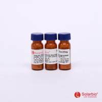 Insulin 牛胰岛素