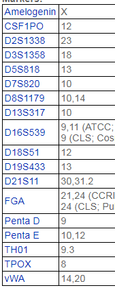 MDA-MB-436【MDA MB 436; MDA-Mb-
