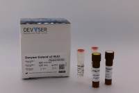 瑞典QF-PCR流产试剂盒