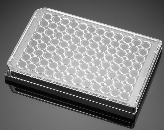 Corning® BioCoat™ 多聚-D-赖氨酸包被96孔黑色/透明平底微孔板，经TC处理