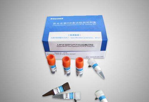 荧光假单胞菌核酸检测试剂盒（恒温荧光法）规格