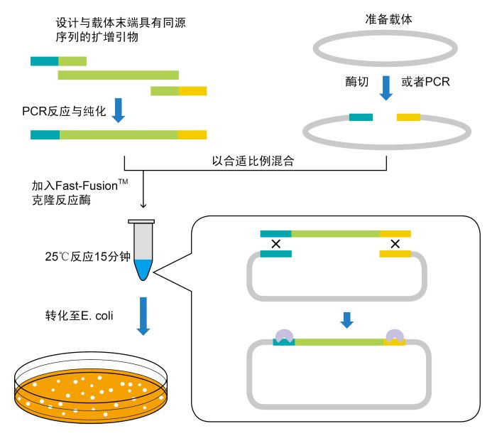 鰤鱼诺卡氏菌核酸检测试剂盒(恒温荧光法)价格