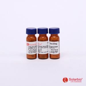 Insulin 牛胰岛素