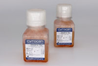 德国cytogen羊水培养基