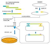 虾肝肠胞虫（EHP）/急性肝胰腺坏死病（AHPND/EMS）双通道核酸检测试剂盒（PCR-荧光探针法）售后服务
