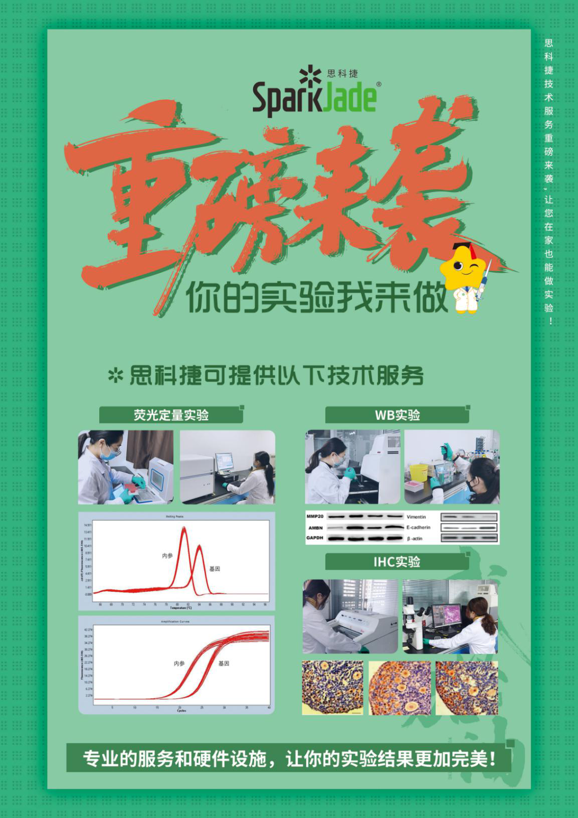 你的实验，我来做
