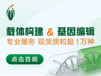 载体构建 & 基因编辑
