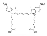 Sulfo-Cy5  COOH
