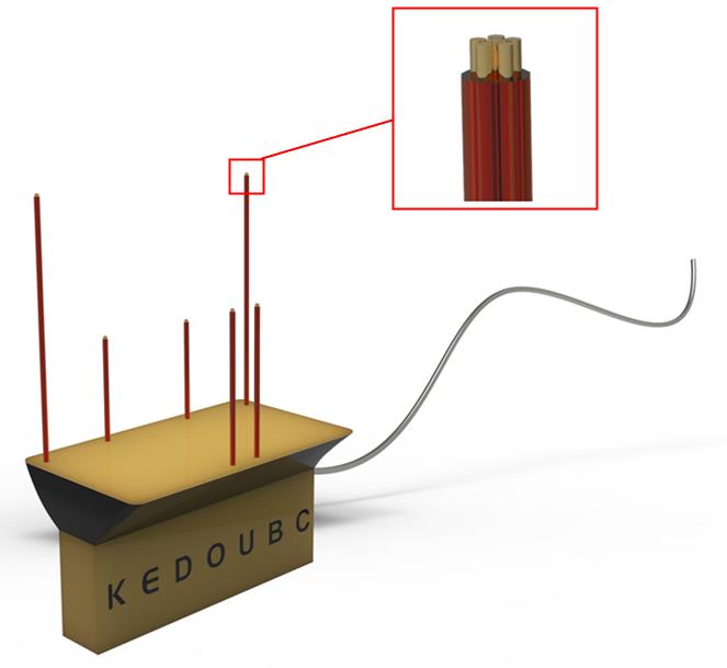 电极多通道电生理记录神经刺激耗材微丝柔性同心电极价格,详情介绍960化工网 960化工网