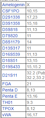 ES-2【ES2】人卵巢透明细胞癌