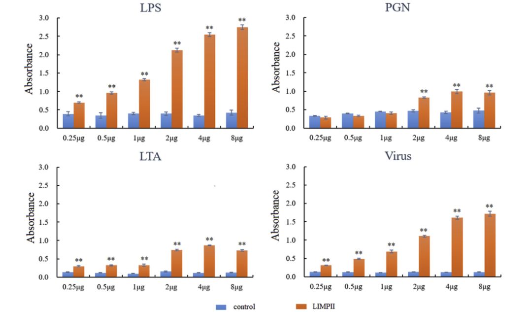 文献解读|大菱鲆溶酶体整合膜蛋白2(LIMP-2)的鉴定及功能初步分析