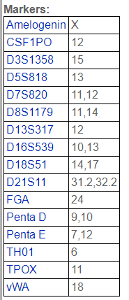 KHOS-240S[KHOS240S] 人骨肉瘤细胞