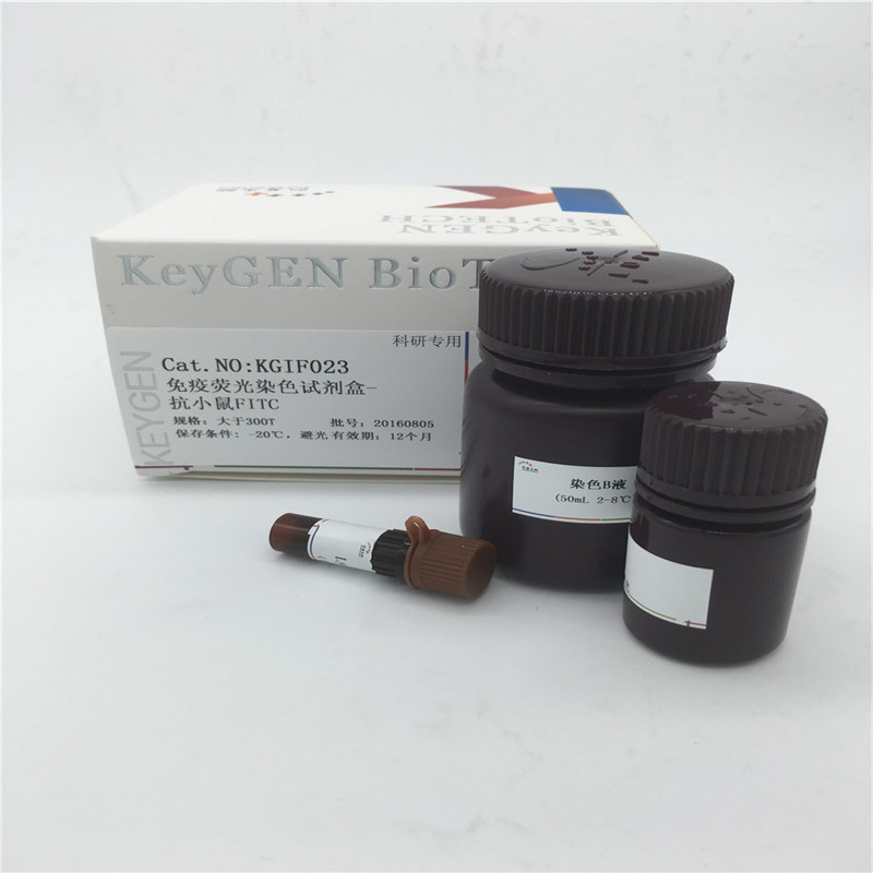 免疫荧光染色试剂盒-抗小鼠FITC  KGIF023