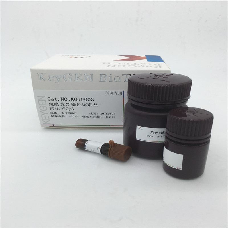 免疫荧光染色试剂盒-抗山羊Cy3 KGIF003