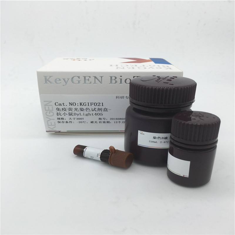 免疫荧光染色试剂盒-抗小鼠DyLight405  KGIF021