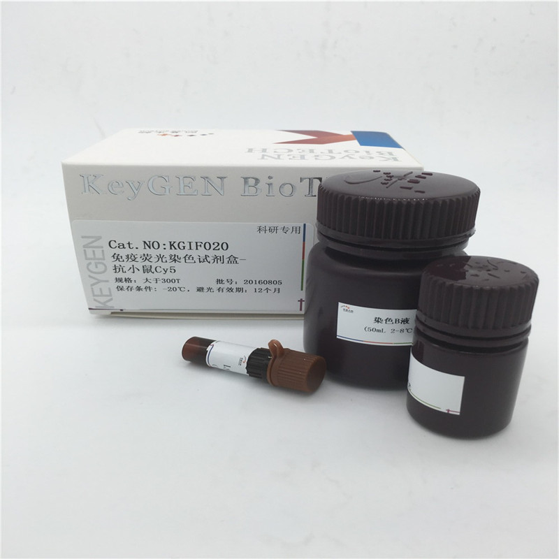 免疫荧光染色试剂盒-抗小鼠Cy5  KGIF020