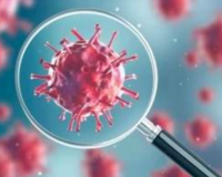 2019新冠病毒N蛋白2019-nCoV Nucleocapsid Protein (NP) (His Tag)