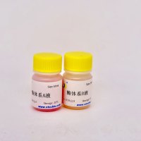 细胞解离酶套装