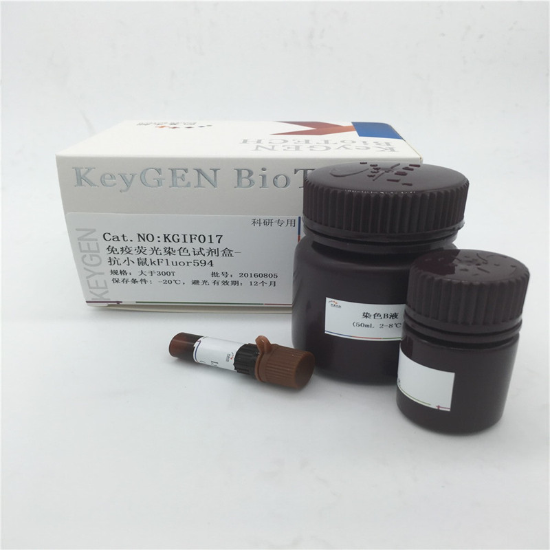 免疫荧光染色试剂盒-抗小鼠kFluor594  KGIF017