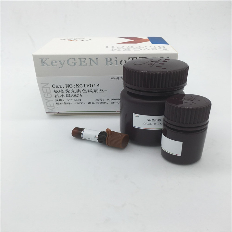 免疫荧光染色试剂盒-抗小鼠AMCA  KGIF014